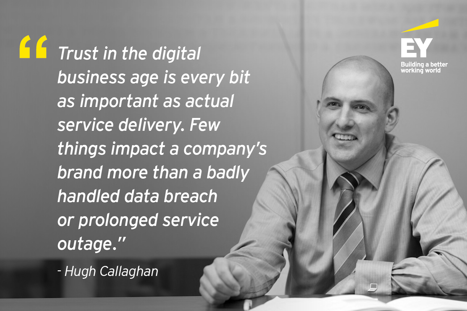Cybersecurity quote from EY Cyber Risk Leader