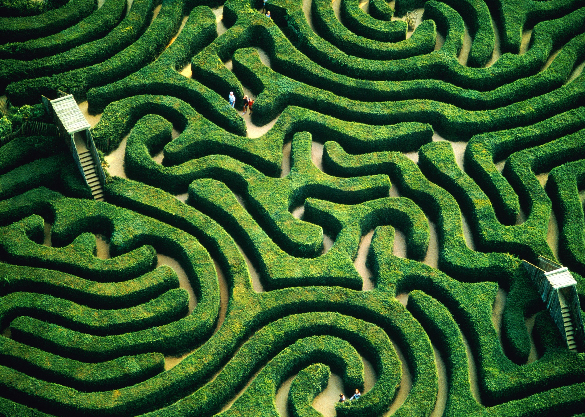 Maze. Лонглит Лабиринт. Longleat Hedge Maze. Уилтшир Англия Лабиринт. Зеленый Лабиринт Лонглит.