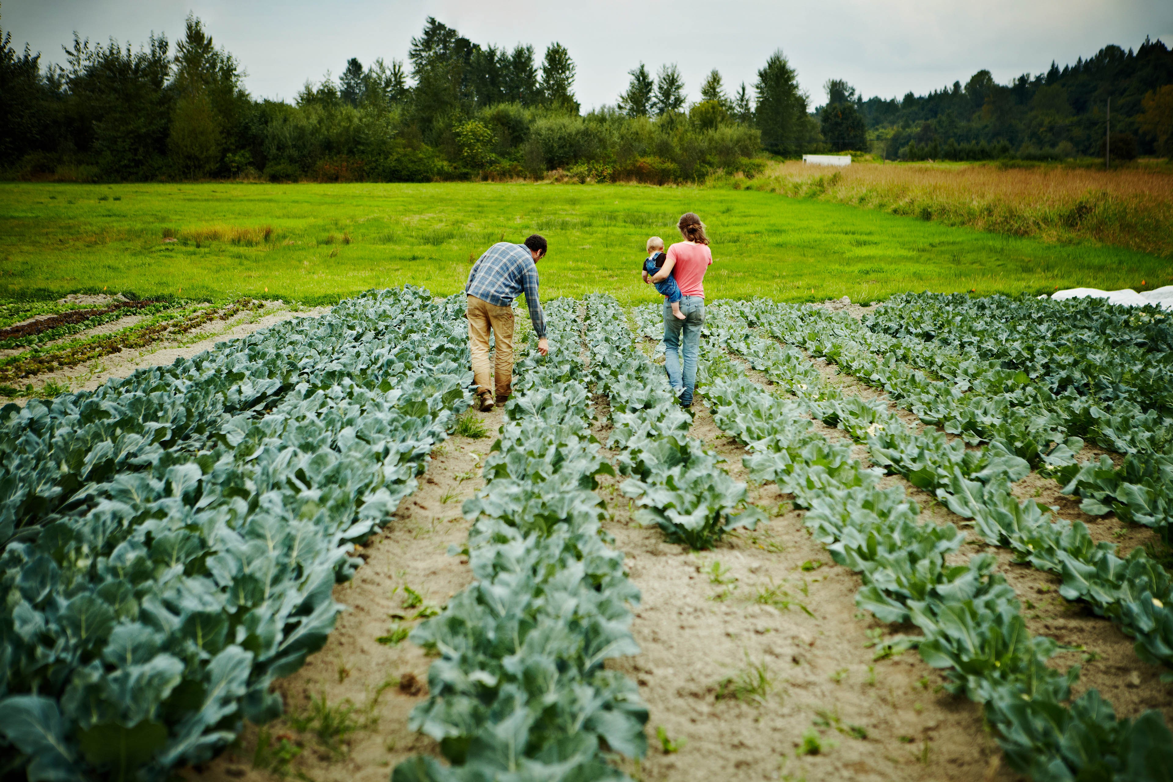 ey-farmers-walking-holding-baby-walking-in-field.jpg.rendition.3840.2560